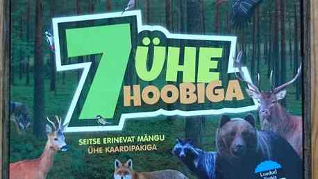7 ühe hoobiga