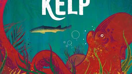 Kelp